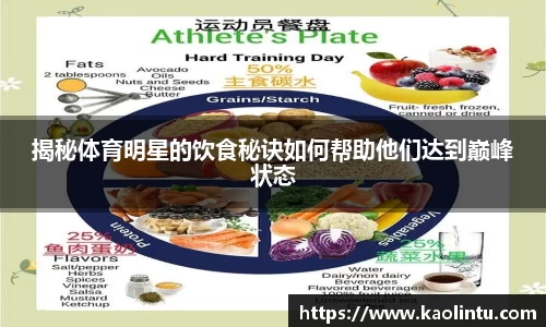 星空·综合体育官方网站