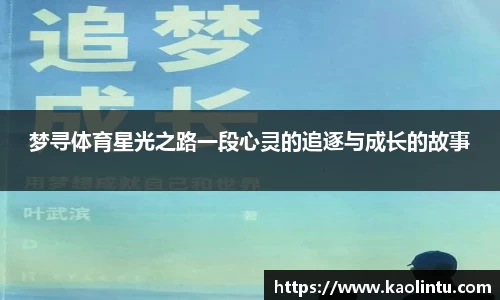 梦寻体育星光之路一段心灵的追逐与成长的故事