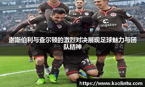 谢斯伯利与查尔顿的激烈对决展现足球魅力与团队精神