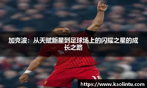 加克波：从天赋新星到足球场上的闪耀之星的成长之路